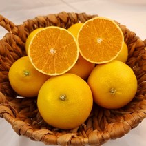 받는분을 위한 특별한 제주직송 황금향!!! 당일수확 황금향 선물세트 제주특산물선물 3kg 5kg, 5kg내외(13-19과내외)