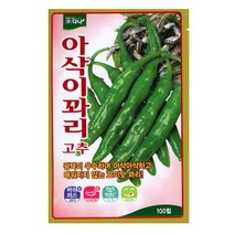 23년도 아삭이꽈리 고추씨앗 100립
