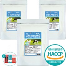 대용량 유청단백질 프로틴 파우더 보충제, 500g, 3팩