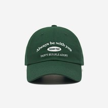 테디팝 시그니처 로고 볼캡 [GREEN] - GREEN