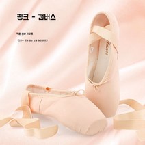 성인발레화 슈즈 무용 편한 연습 토슈즈 발레 신발 취미 댄스, 41, A