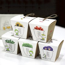 꿈쟁이 그린패밀리 식물기르기 방울토마토 허브바질 해바라기 캣잎 나팔꽃