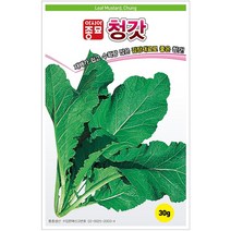 [모종심는아빠] 재배가 쉽고 수확량 많은 김장재료로 좋은 청갓 씨앗 30g, 1개