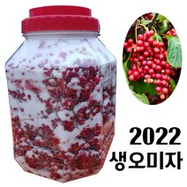 무무농장 강원도 햇 오미자청 5kg 10kg 당절임 원액 생과, 2022 햇오미자5kg+설탕5kg+담금통