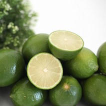 [만나몰] 멕시코 생 라임 175과, 1kg (개당 100g 내외)