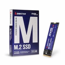 Biostar Biostar M760 M.2 NVMe (512GB)