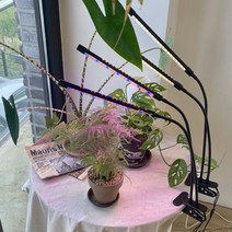 LED 국산 식물 등 성장 생장 램프 조명 투광기 다육이 재배, 01.헤드 식물조명, 4헤드 리모컨 식물조명 주백색(아이보리빛)