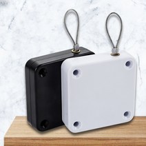 오토매틱 슬라이딩 도어, 블랙