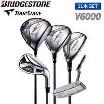 브리지스톤 골프 투어 스테이지 V6000 클럽 세트11개 캐디백X, rフレックス