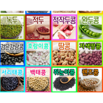 강낭콩 씨앗 호랑이콩 울타리콩 완두콩 작두 적작두콩 아라리 팥 녹두 율무 깨 옥수수 땅콩 서리태 메주 쥐눈이 렌틸 종자 파종 재배 슈퍼 땅콩 씨 종자 키우기 모음, 17.다유들깨 20g