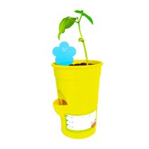 강낭콩 키우기 토비 압축토 심지화분 세트, 흰눈꽃