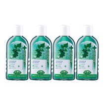 덴티스테 내츄럴 오랄린스 400ml (100mlx4개) 구강청결제, 1set