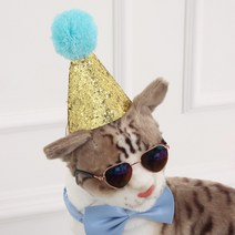 강아지 고깔 모자 고양이 꼬깔 생일파티, 반려동물파티고깔(레드)