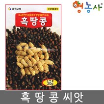 동원 흑땅콩씨앗 20g, 동원흑땅콩