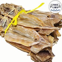 속초 건조 쫄쫄이 마른오징어 (원양산) 20미 한축 선물용 당일발송 마른오징어도매 안주 간식 중부시장 건어물도매몰, 1.2kg 내외(쫄쫄이)