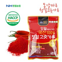 22년산 [영월농협]동강마루 청결 고춧가루300g(보통맛), 단품