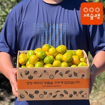 제슐랭 제주 조생귤 당일수확 제주도 감귤 제주도 1kg 3kg 5kg 10kg 가정용 귤, 조생귤 5kg 소과