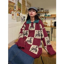 문제 얼룩말 체크 패턴 옷깃 스웨터