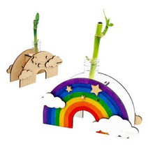 수경재배식물 개운죽 키우기(무지개)