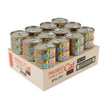 우리와 프로베스트 캣 푸드 캔 참치 연어 80g 1박스 24개입 길고양이 습식 사료 간식