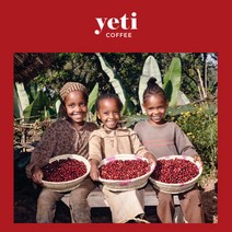 에디오피아 예가체프 커피 생두 무산소발효 1kg, 5kg, 1개