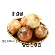 우포누리 양파즙30포 양파의효능 껍질째양파즙 (자색양파즙.자연산붕어즙.호박즙칡즙.양배추즙.우슬닭발.배 도라지.비트즙), 180포, 110ml