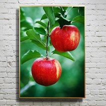 화색갤러리 풍수 인테리어 09 사과 그림 액자 프리미엄 캔버스천으로 인화, 블랙무광