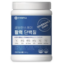 세브란스케어 활력단백질 1통 프리미엄 유청 식물성 유산균 프로틴 파우더 분말, 288g×1통, 1개