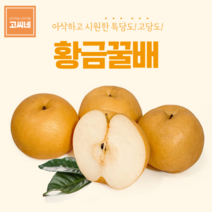 지앤제이 고씨네 프리미엄 배5kg 배 배가격 배주스 황금배 배즙, one color, free