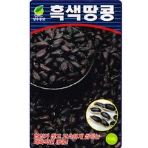 성우 흑땅콩씨앗 50립, 흑색땅콩