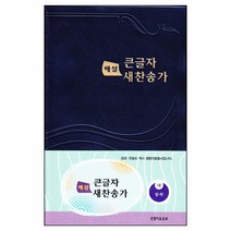 큰 글자 해설 새찬송가 - 청색/비닐 (대 무색인 무지퍼), 대 청색