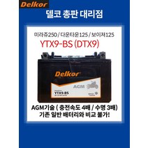 스즈키 V-STROM 250 배터리 8Ah, 1개