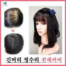 헤어엔조이 정수리 전체커버 불파트가발 인모가발(20x19), 1개, 전체(20x19)-자연검정