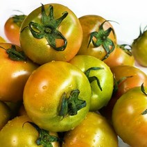 [대저농협 인증] 대저 짭짤이 토마토 2.5kg 고당도 짭잘이 짭짜리 로열과, 대저짭짤이토마토 2.5kg 로얄과 (특S)