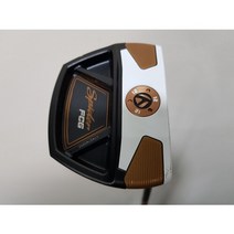 테일러메이드 SPIDER FCG 말렛형 퍼터 34인치 2001802968824, 선택완료, 단일 제품