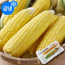 다온푸드 [신선한] 국내산 냉동 초당옥수수 5팩(10개입)/특사이즈 17~20cm, 단품없음