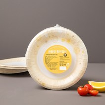 트레이더스 친환경 종이 접시 18cm (60P) 무형광 천연펄프 녹색제품 전자렌지 사용 가능