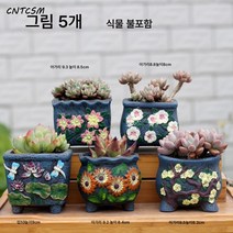 CNTCSM 다육 화분 세트 라지 말뚝 화분 거친 도자기 통기 맥반 돌 화분 도자기 화분 다육 화분, 백화제방 5개