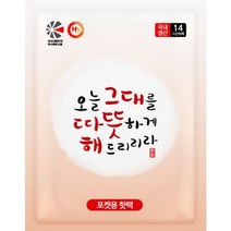 해피데이 오늘 그대를 따뜻하게 해드리리라 포켓용 핫팩 100g, 해피데이 - 포켓용 핫팩 100g