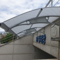 캐노픽스 550x9900 단독주택 상가 아파트 외부 출입구 주차장 차양 비가림 캐노피공사, 브라운, 블랙, 은백색(기본색상)