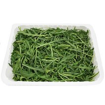그린팜 생 와일드루꼴라 1kg, 단품