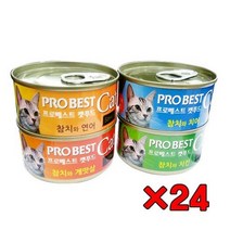 프로베스트 캣푸드 고양이 간식캔, 참치 + 치킨 혼합맛, 24개입