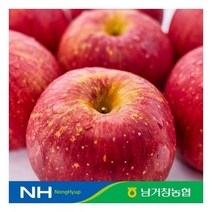 아삭달콤한 거창 꿀사과 가정용 2.5kg(중과)9과-12과 내외
