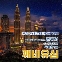 깨비유심 코타키나발루 말레이시아 전지역 4G LTE 데이터 10일 이용 유심 출국전 불량 유심 확인 가능 (4362499), 김해 공항 수령