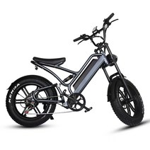 알루미늄 20 인치 전자 자전거 48V 750W 모터 12.5A 리튬 배터리 지방 타이어 전기, 01 Gift not bike, 한개옵션1