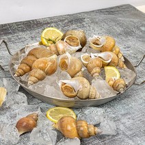 [산지직송] 자연산 동해안 백골뱅이 1kg (중/20-30미), 단품