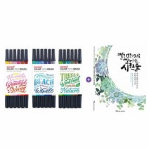 캘라그라피 컬러 트윈 브러쉬 1세트+캘리그라피로 만나는 시 한, 칼라:SEA세트, 단품