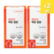 닥터루템 헤모어 락토 철분 60정 x 2박스 임산부 여성 철분제 철분약