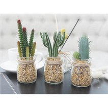 은은한 미니 조화 선인장 투명 유리 화병 플라워 인테리어조화꽃 인조화분, 1개, 백운각