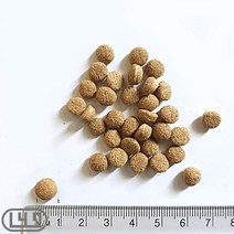 말티즈 개사료 불독 애완견밥 맛있는 비글 부드러운 가성비 균형영양 10KG, 상세페이지 참조